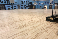 Gymnasium Auditorium Wood Floor