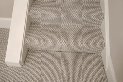 Durable Nice Carpet Family room