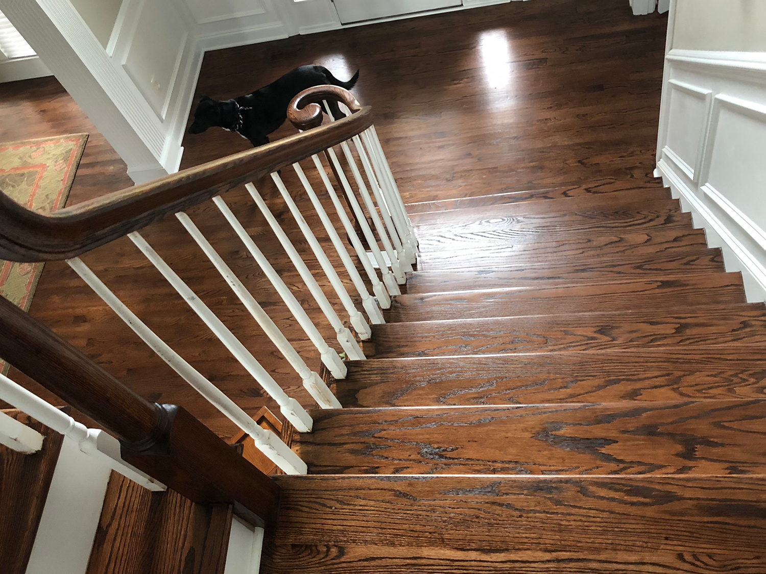 Original Hard Wood Stairs in Ruxton Towson Perry Hall Dundalk area Refinished by Baltimore flooring contractors with white wood rails and oak wood steps that are restored and beautiful