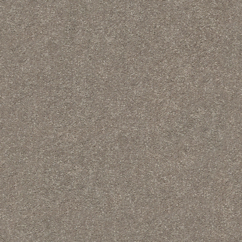 Charming Smooth Taupe Carpet