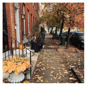 Fall scene of a Baltimore City street in Canton, Fells Point, Federal Hill area, with row homes where Amazonia restores original hardwood flooring