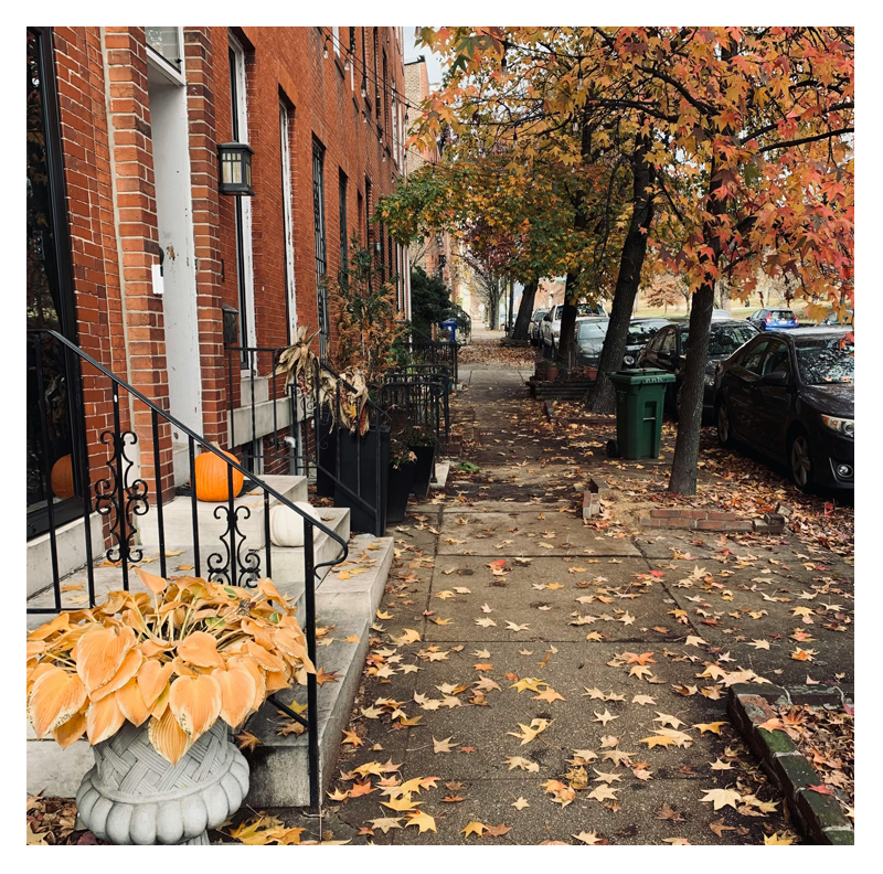 Fall scene of a Baltimore City street in Fells Point, Fells Point, Fells Point area, with row homes where Amazonia restores original hardwood flooring